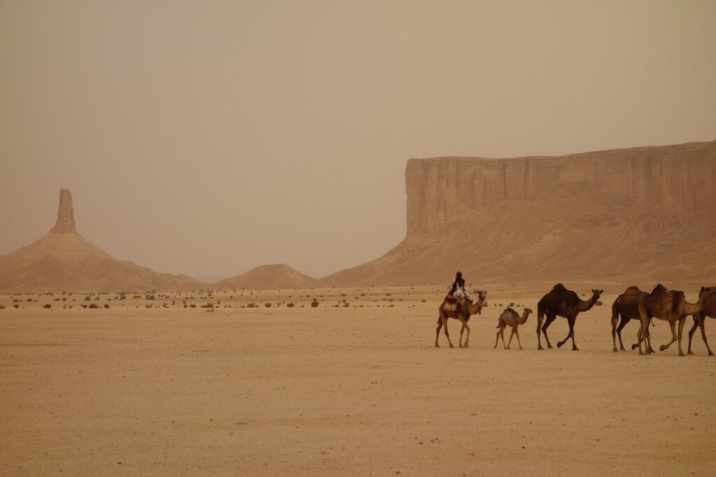 Vue panoramique du désert d’Arabie saoudite avec une caravane de chameaux et des formations rocheuses emblématiques sous un ciel brumeux.