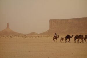 Vue panoramique du désert d’Arabie saoudite avec une caravane de chameaux et des formations rocheuses emblématiques sous un ciel brumeux.