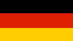L'importance des verbes de modalité en allemand