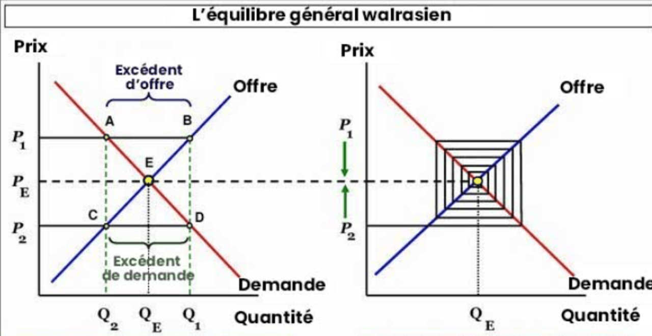 Graphique de l'équilibre général walrasien, concept clé en microéconomie.