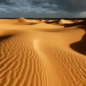 sable