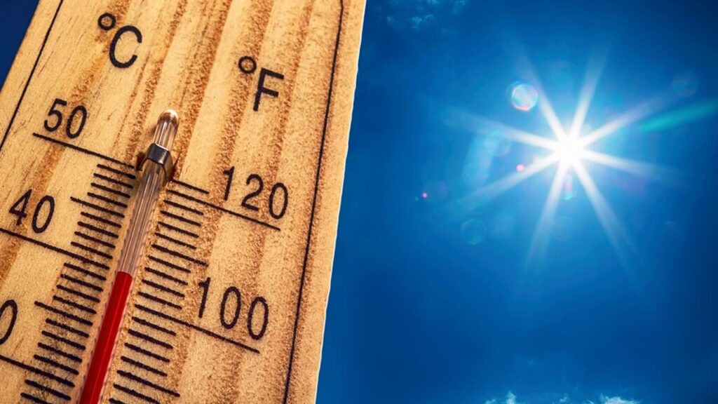 Canicule et oraux : ce que les écoles mettent en place