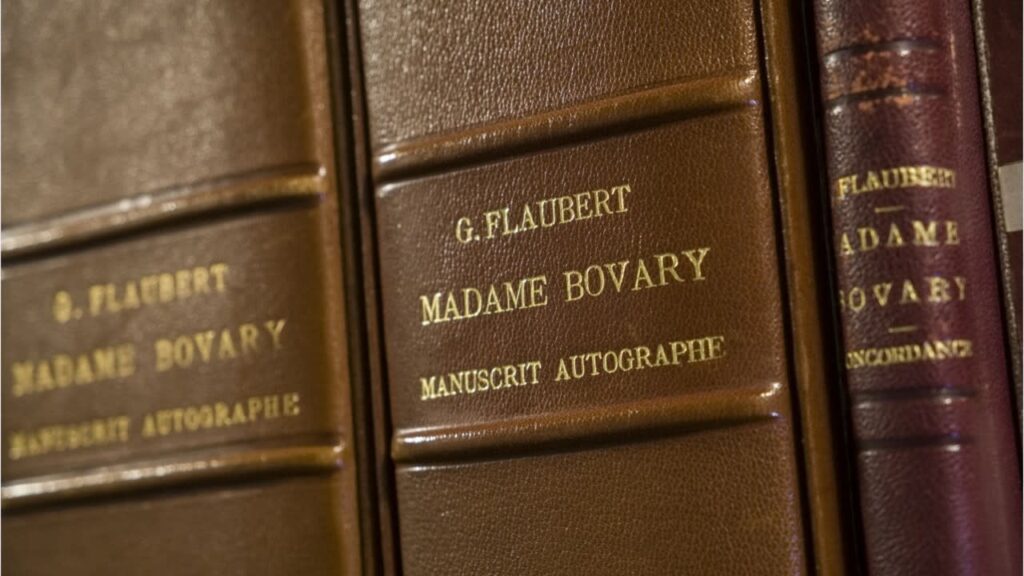Manuscrits autographes de Madame Bovary de Flaubert reliés en cuir, illustration de l'œuvre