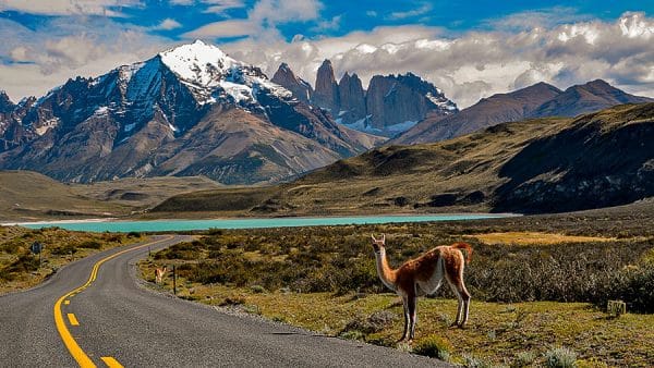 Patagonie