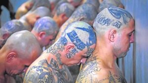 Détenus membres de las maras aux tatouages visibles dans une prison d'Amérique centrale