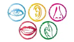 Icônes colorées des cinq sens, illustration du vocabulaire des cinq sens en anglais